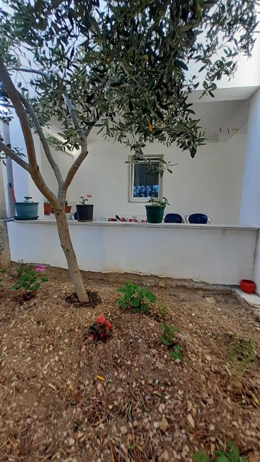 Apartments Slavica 波尔 外观 照片