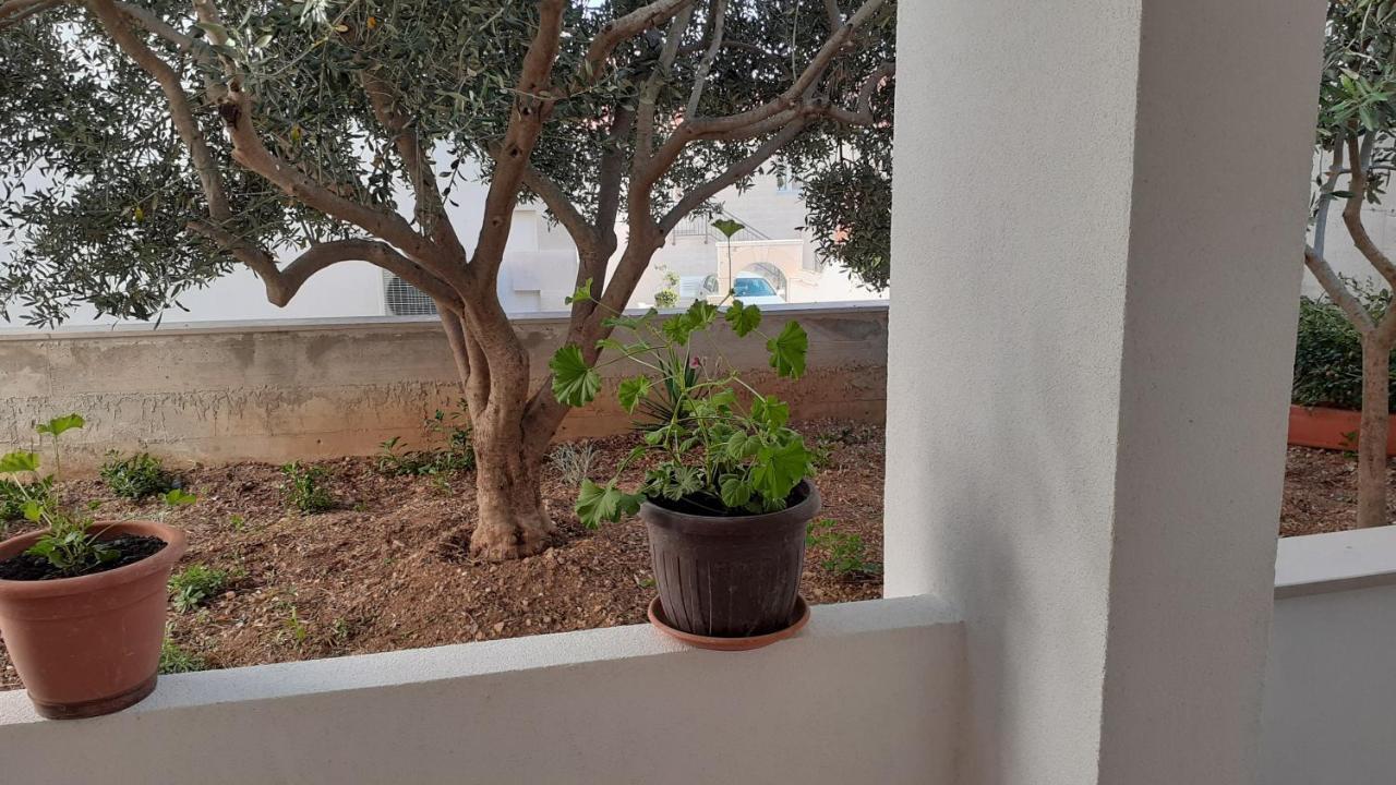 Apartments Slavica 波尔 外观 照片